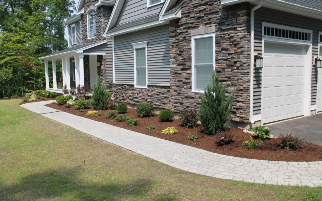 4 seasons of Color and Low Maintenance Plantings