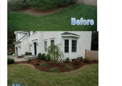 planting-before-and-after-4