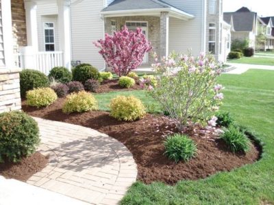 easy to care for landscape