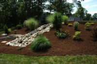 Landscape Plantings and Weed Control
