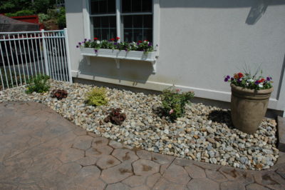 Planting in 3inch stone
