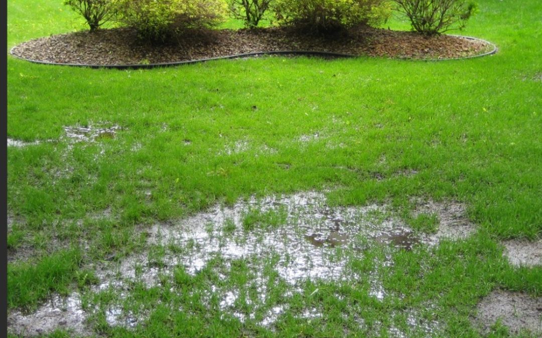 Property Drainage Issues and Some Tips